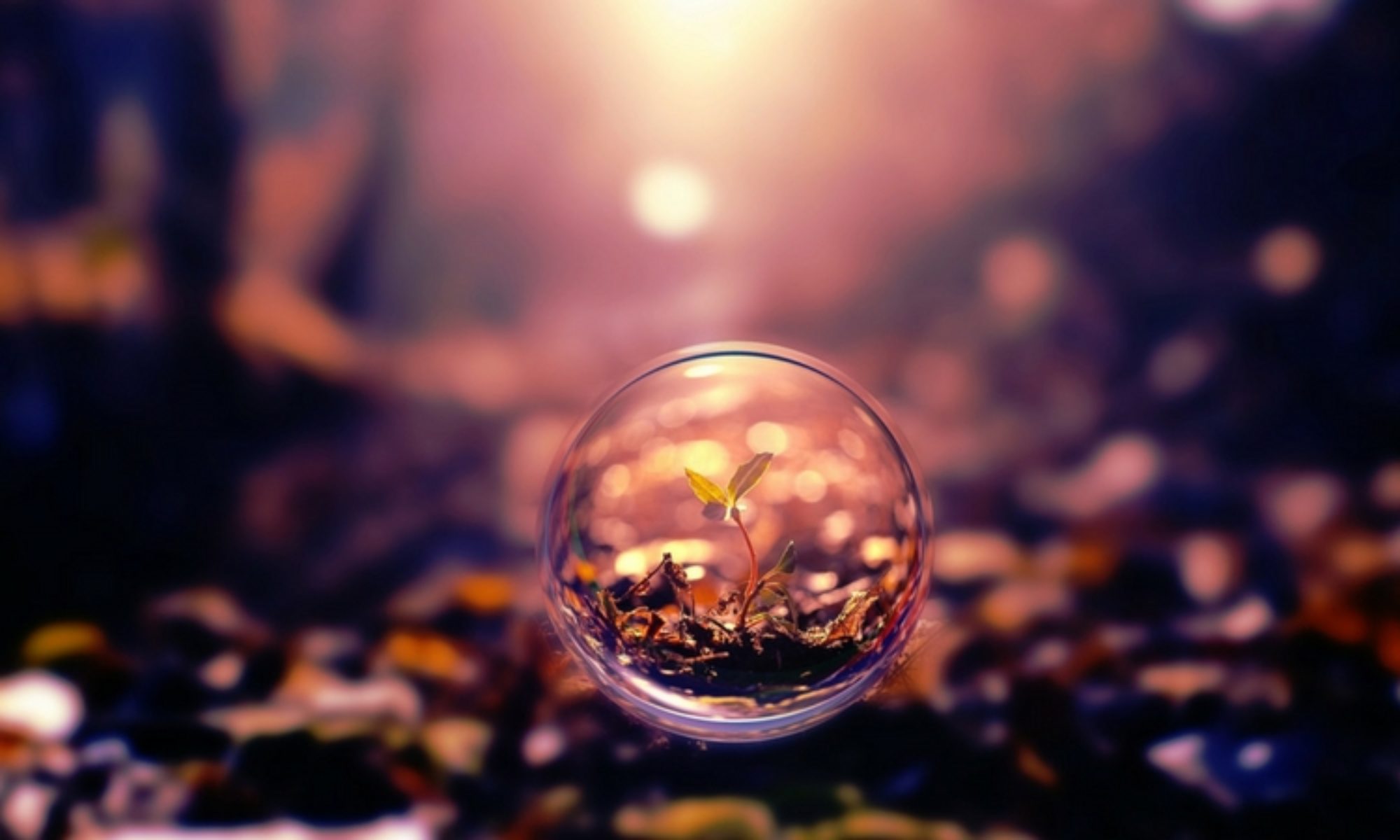 Révélez votre féminité pour éclore vers un mieux-être quotidien et vous sentir Merveilleusement bien